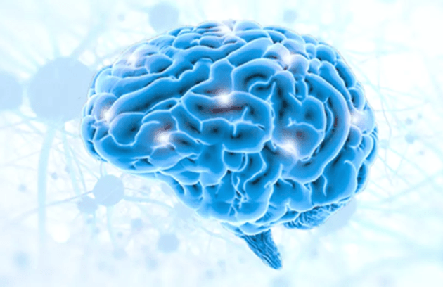Neurology bmh