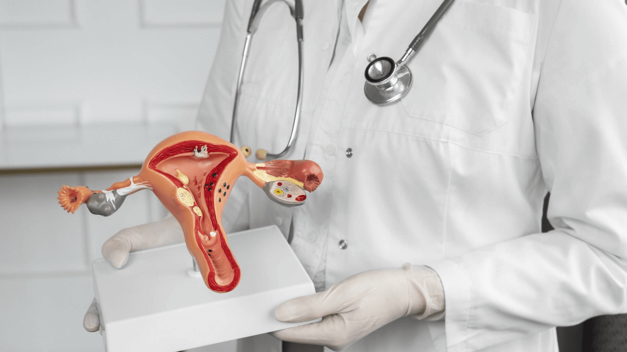 Gynecology & Obstetrics BMH